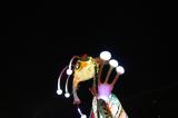 Parades 8 * 5184 x 3456 * (5.09MB)